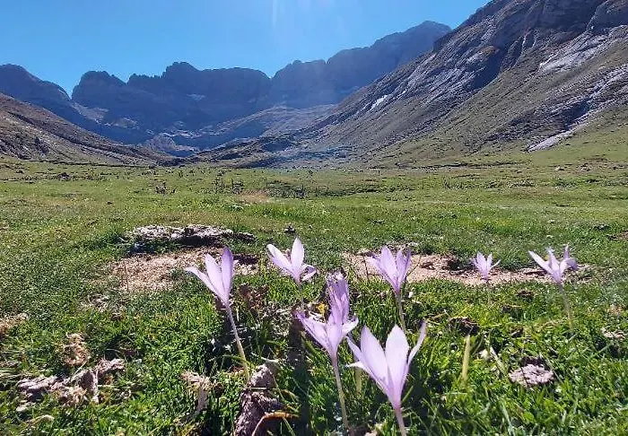 Troumouse Résidence Les 3 Cirques Appartement *