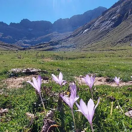 Troumouse Les 3 Cirques Διαμέρισμα *